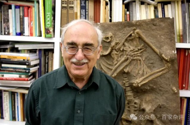 世界级发明改写了整个人类历史AYX爱游戏2万年前中国一项(图8)